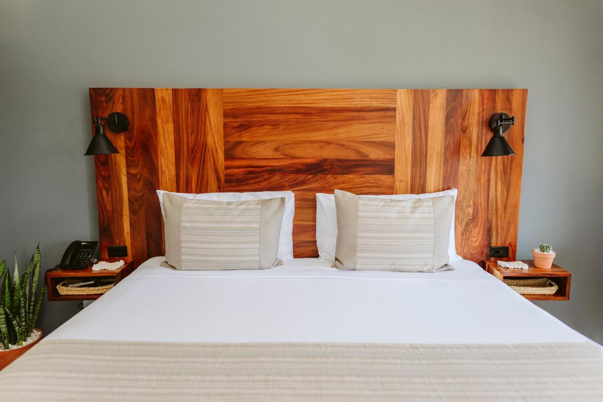 Six Two Four Urban Beach Hotel San José del Cabo 部屋 写真